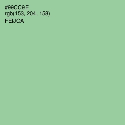 #99CC9E - Feijoa Color Image