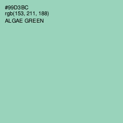 #99D3BC - Algae Green Color Image