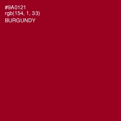 #9A0121 - Burgundy Color Image