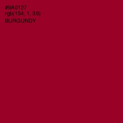 #9A0127 - Burgundy Color Image