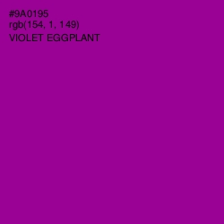 #9A0195 - Violet Eggplant Color Image