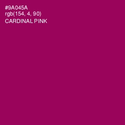 #9A045A - Cardinal Pink Color Image