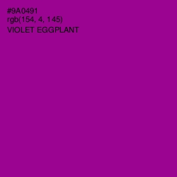 #9A0491 - Violet Eggplant Color Image