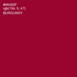 #9A052F - Burgundy Color Image