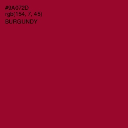 #9A072D - Burgundy Color Image