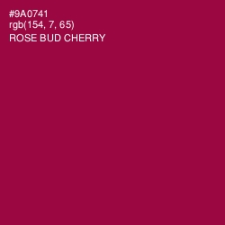 #9A0741 - Rose Bud Cherry Color Image