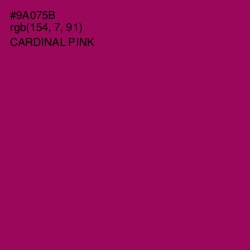 #9A075B - Cardinal Pink Color Image