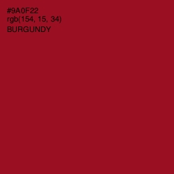 #9A0F22 - Burgundy Color Image