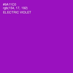 #9A11C0 - Electric Violet Color Image