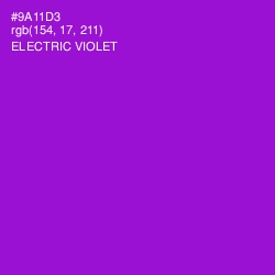 #9A11D3 - Electric Violet Color Image