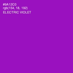 #9A12C0 - Electric Violet Color Image