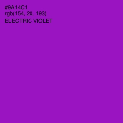 #9A14C1 - Electric Violet Color Image