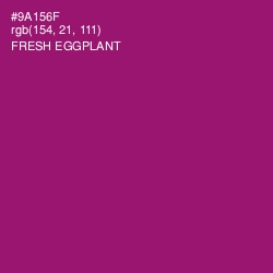 #9A156F - Fresh Eggplant Color Image