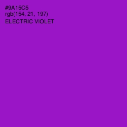 #9A15C5 - Electric Violet Color Image