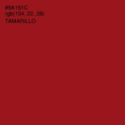 #9A161C - Tamarillo Color Image