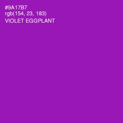 #9A17B7 - Violet Eggplant Color Image