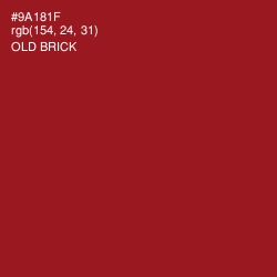 #9A181F - Old Brick Color Image