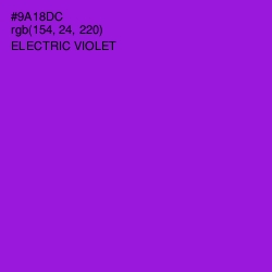 #9A18DC - Electric Violet Color Image