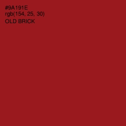 #9A191E - Old Brick Color Image