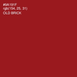 #9A191F - Old Brick Color Image