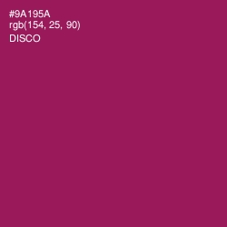 #9A195A - Disco Color Image