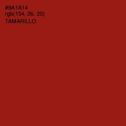 #9A1A14 - Tamarillo Color Image