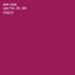 #9A1A58 - Disco Color Image