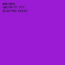 #9A1BD3 - Electric Violet Color Image