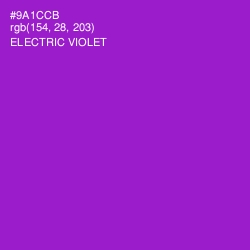 #9A1CCB - Electric Violet Color Image