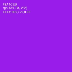 #9A1CEB - Electric Violet Color Image