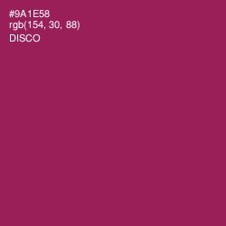#9A1E58 - Disco Color Image