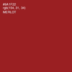 #9A1F22 - Merlot Color Image