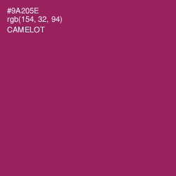 #9A205E - Camelot Color Image