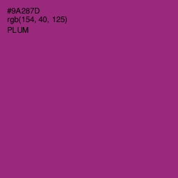 #9A287D - Plum Color Image