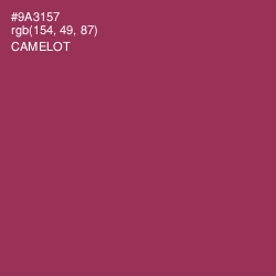 #9A3157 - Camelot Color Image