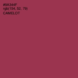 #9A344F - Camelot Color Image