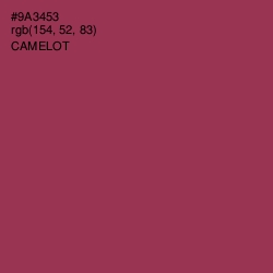 #9A3453 - Camelot Color Image