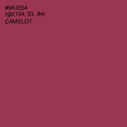 #9A3554 - Camelot Color Image