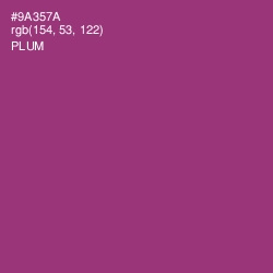 #9A357A - Plum Color Image