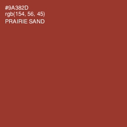 #9A382D - Prairie Sand Color Image