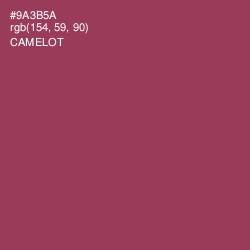 #9A3B5A - Camelot Color Image