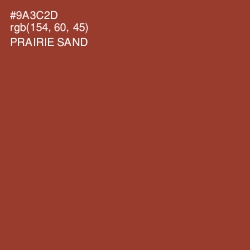 #9A3C2D - Prairie Sand Color Image