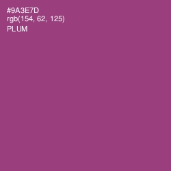 #9A3E7D - Plum Color Image