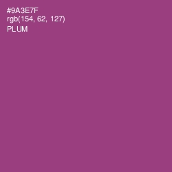 #9A3E7F - Plum Color Image