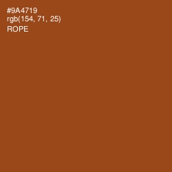 #9A4719 - Rope Color Image