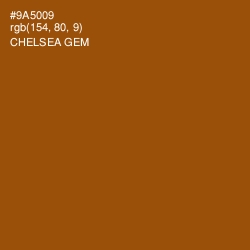 #9A5009 - Chelsea Gem Color Image