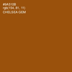 #9A510B - Chelsea Gem Color Image