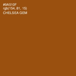 #9A510F - Chelsea Gem Color Image
