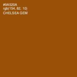 #9A520A - Chelsea Gem Color Image