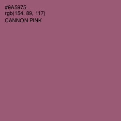 #9A5975 - Cannon Pink Color Image